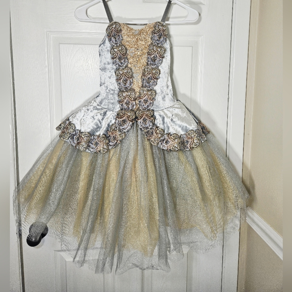 Revolution Silver Velvet, Silver And Gold Tulle Dance Costume, Sc LC
